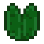 Lily_Pad